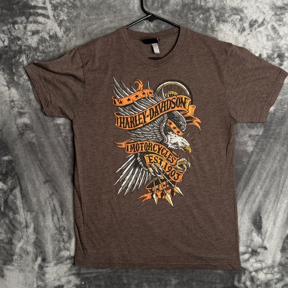 Harley-Davidson Other - Harley-Davidson Graphic T-Shirt Mens Medium Brown Taboo Alexandria LA 7048